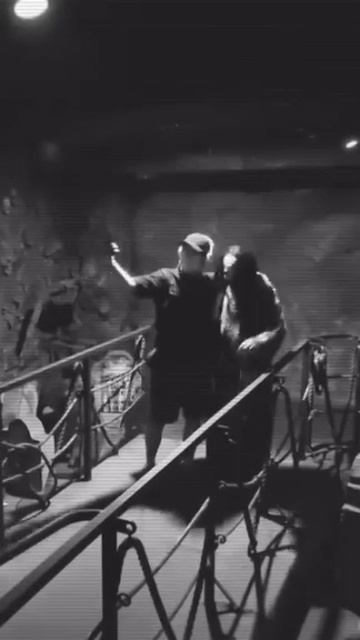 VID_20250620_091214_176.mp4