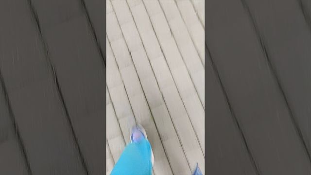 вторая часть