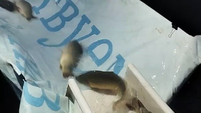 1000030932.mp4
