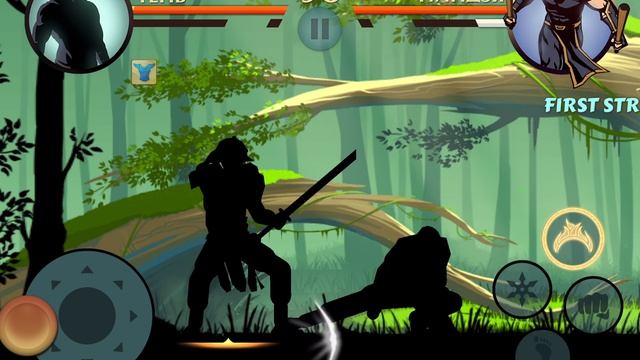 Летний Бой в Shadow Fight 2 № 327