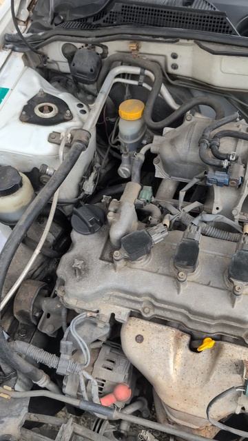 Nissan Sunny