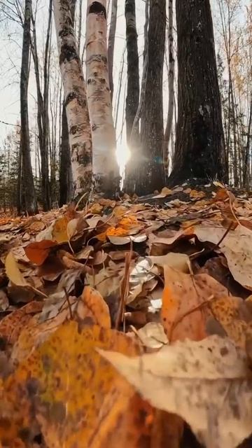 Красота в глазах смотрящего 👀✨