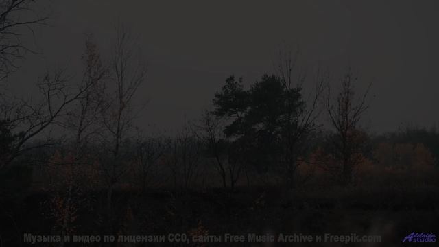 Пейзажи оживают, когда включается эта мелодия - Sneak -- A. A. Aalto -- Fest