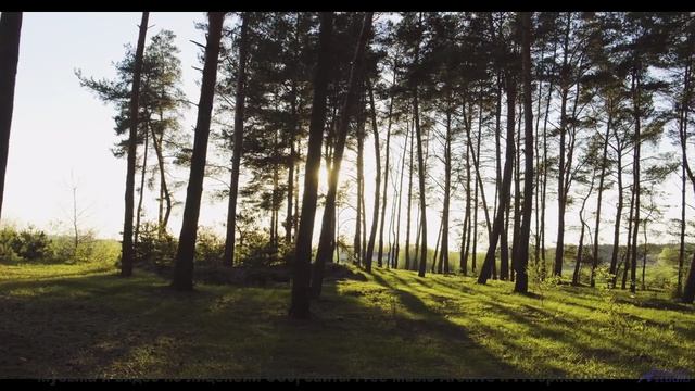 Это видео - лекарство от всех грустных дней! - Happy Days -- Scott Holmes Music -- Happy Background
