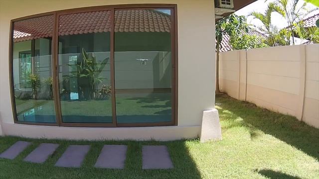 Balina 4