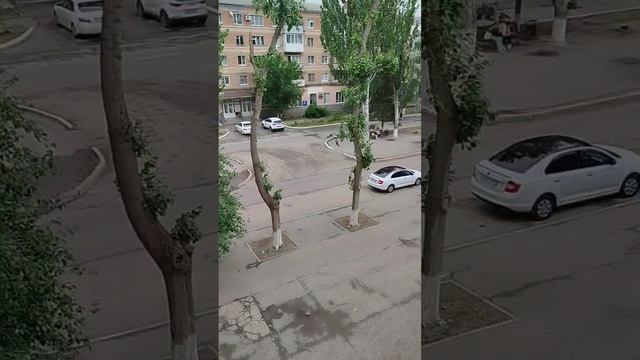 Квартира ( аренда Волгодонск )