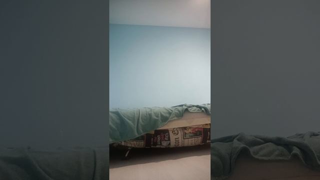 1000005070.mp4