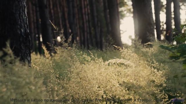 Мелодия ведёт выше облаков без единого шага - No Boundaries (motorik groove) -- Keshco -- Filmmakers