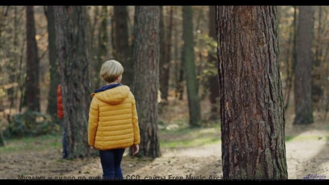 Звуки, которые не должны существовать - но они есть! - Hilltop -- Crowander -- Uplifting Funband (po