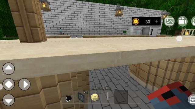 Играем В Mini block craft. Спим И Катаемся На Коте