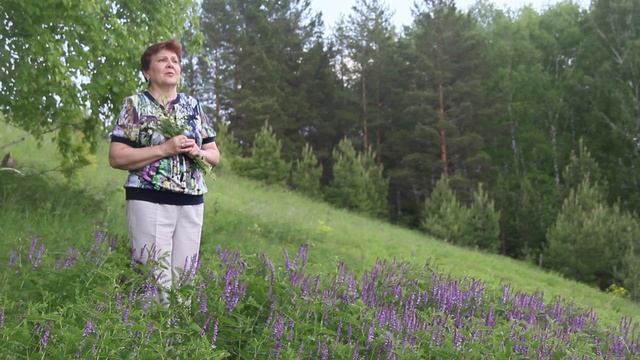 Синий платочек (клип №2)