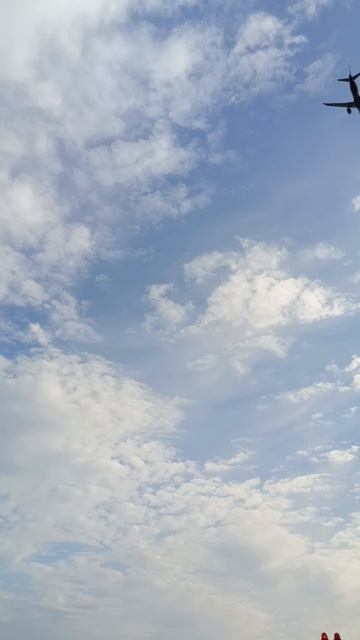 Самолёты Адлера