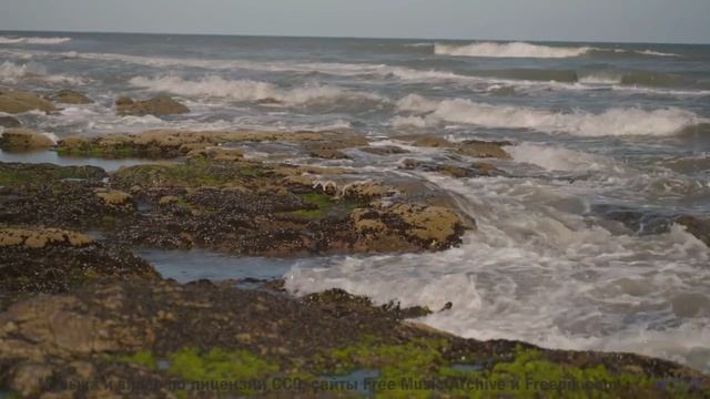 Музыка и природа сливаются в чистую магию - Occhiolism -- Sea Offs -- Whats The Point