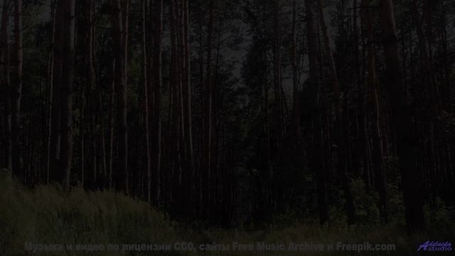 Эти леса под эту музыку - восторг - Moonshine -- Ketsa -- The New World