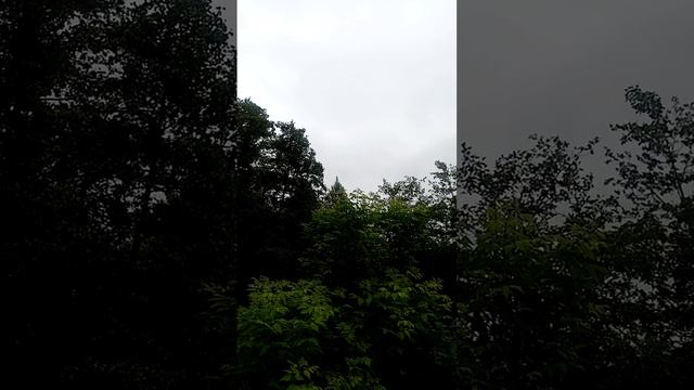 21 июня, на озере