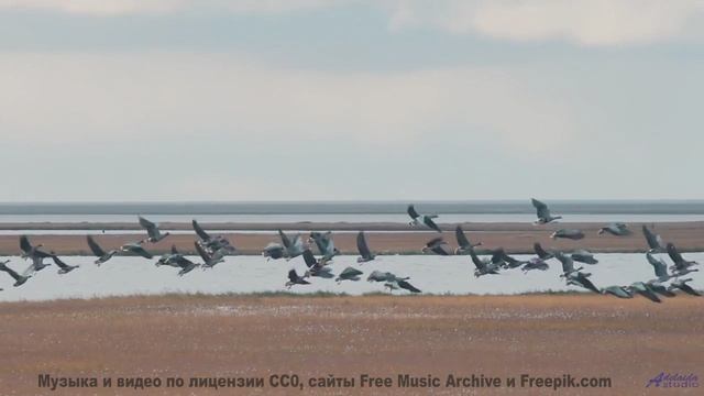 Музыка превращает кадры в личный полёт над землёй - ComPROMISE -- Tadz -- Soul Symphonies Vol.1
