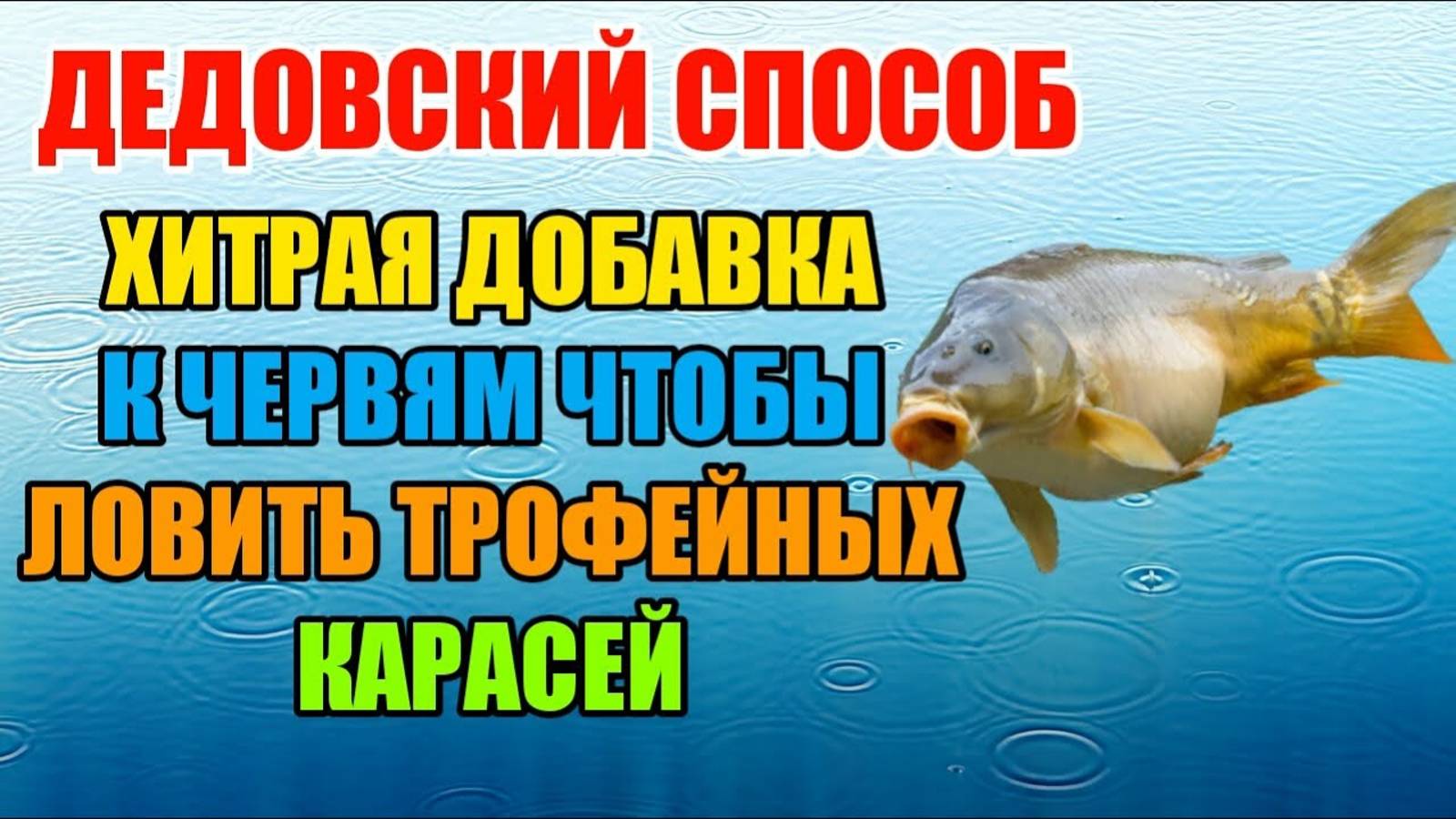 НА ЭТОТ ЗАПАХ СБЕЖИТСЯ ВЕСЬ КАРАСЬ С ВОДОЕМА! Перед рыбалкой кладу молотые семечки в червей.