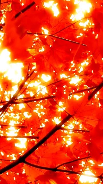 В кадре: самые яркие эмоции