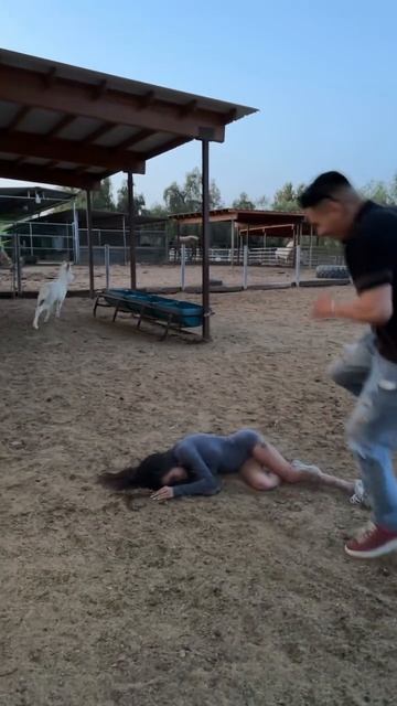 Смешное видео прикол