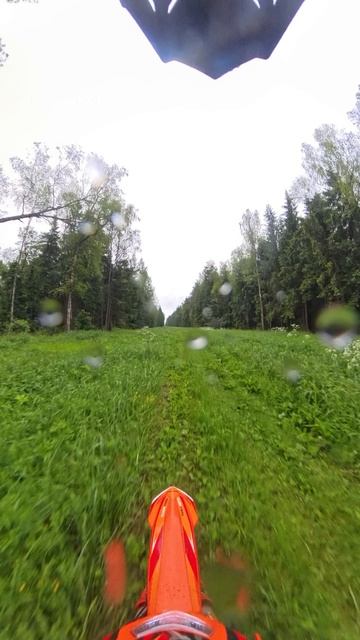 Чуть не упал на газовой просеке