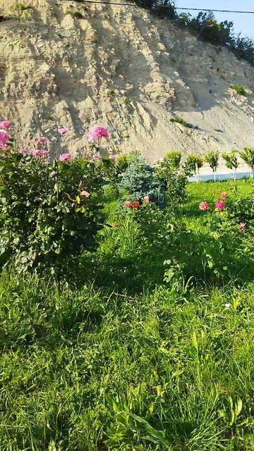 ДЖУБГА Молчанова пляж 09.06.2025