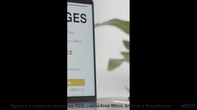 Саунд рисует по небу узоры, которых не видели - Flowers -- Cedric Galke -- Unnamed album