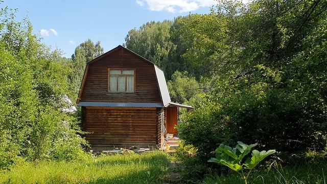 По углам, где сныть и зверобой...