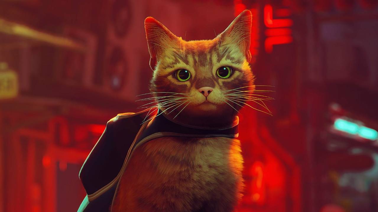 STRAY - Прохождение игры #5