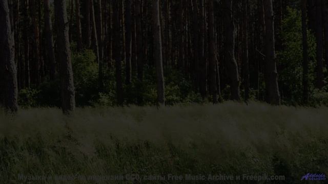 Ты НЕ ОЖИДАЕШЬ такого финала! - Everything is Paradox -- Julia Felix -- Unnamed album