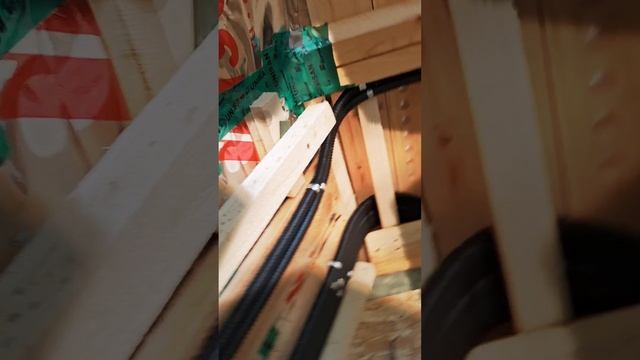 1000026994.mp4 (Собака смотрит на монтаж э/проводки на кухне в доме А-фрейм)
