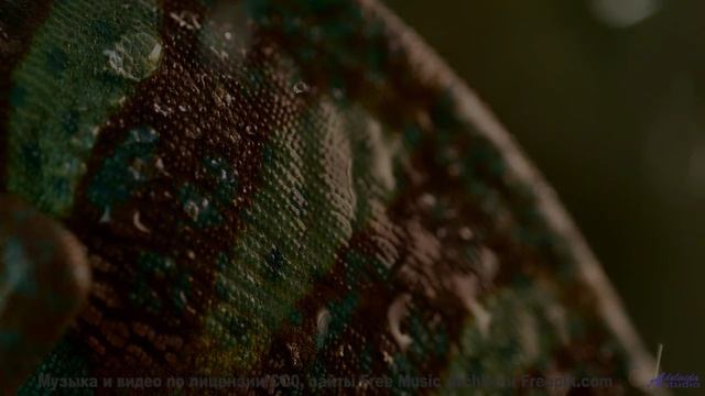 Музыка, которая звучит как гимн свободе! - Parallel Worlds -- Ketsa -- Abundance