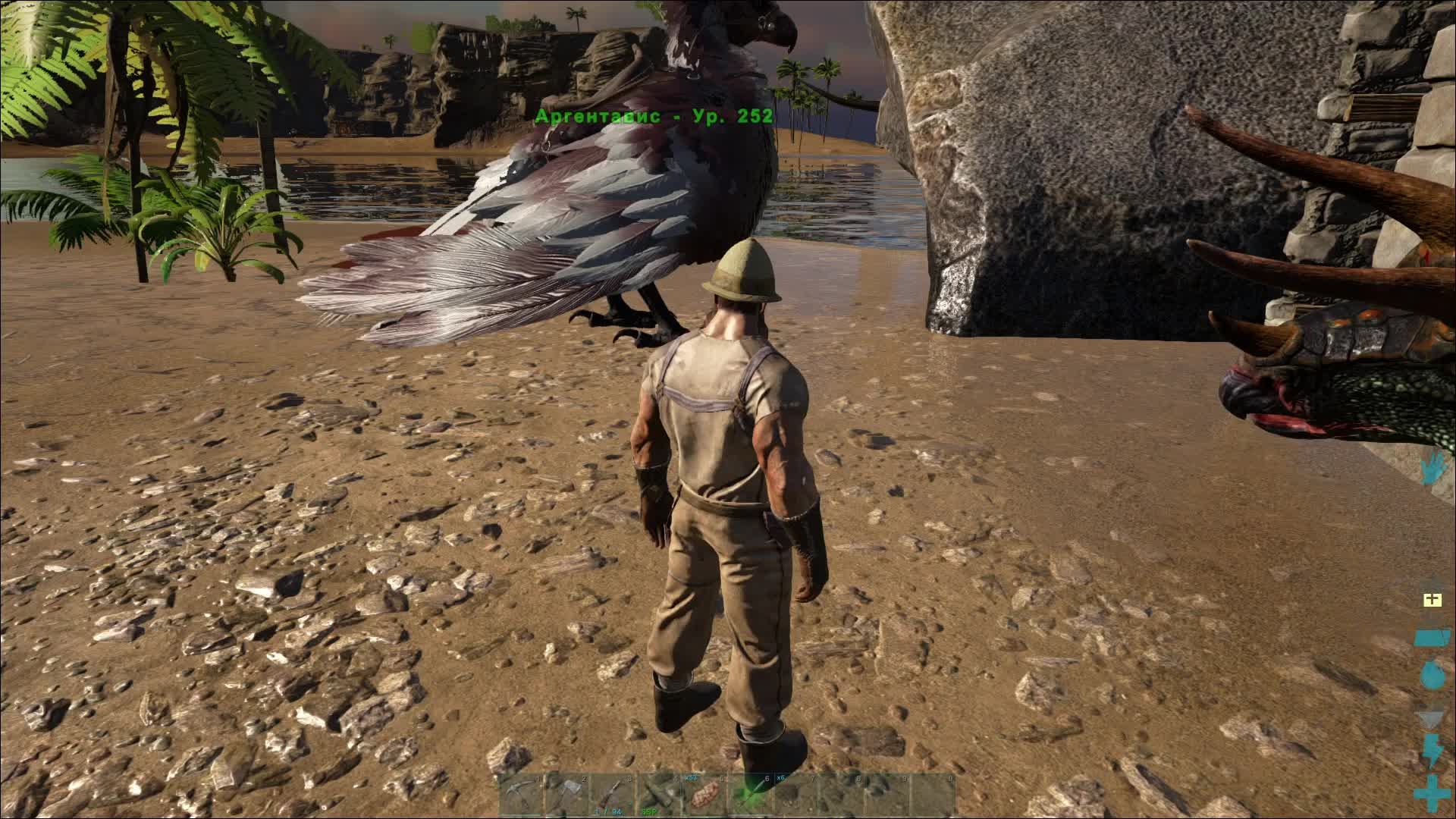 ARK