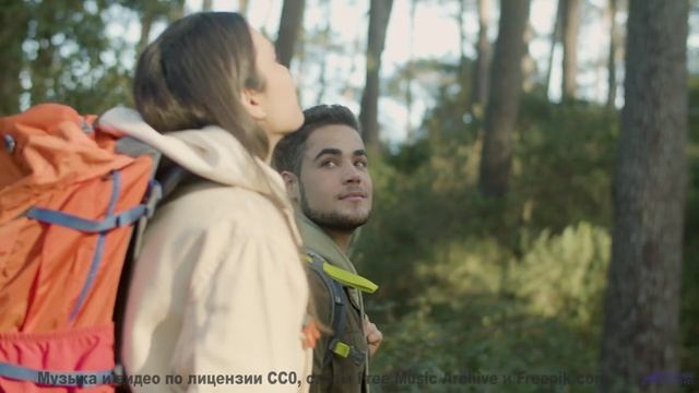 Леса оживают как картина на этой музыке - Acoustic Fingerpicking 10 -- Independent Music Licensing C