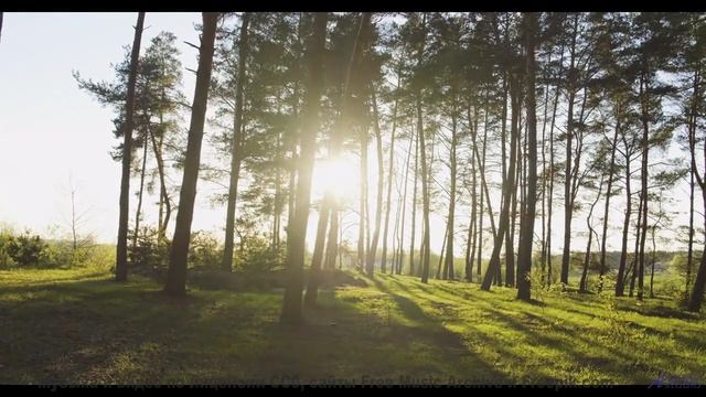 Леса и поля качают душу как буря - Cest La Vie -- Derek Clegg -- The Best Of Number 3