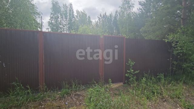8874676 Грибное