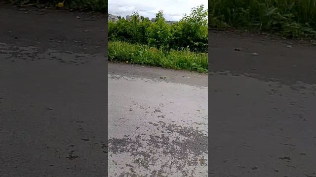 10 дней выживания в деревне (1 день 1 часть )