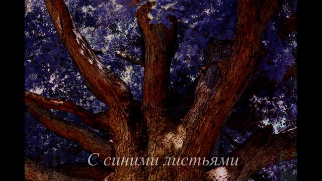 Элементаль. Отрывок