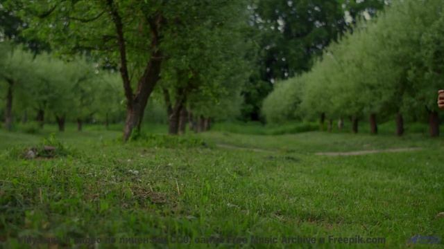 Музыка, которая нарушает законы физики - как это возможно - Farewell 2 -- Kirk Osamayo -- Season Two
