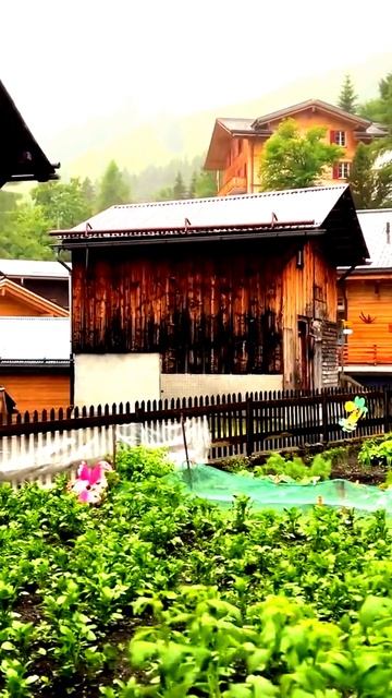 Камера зафиксировала мгновение
