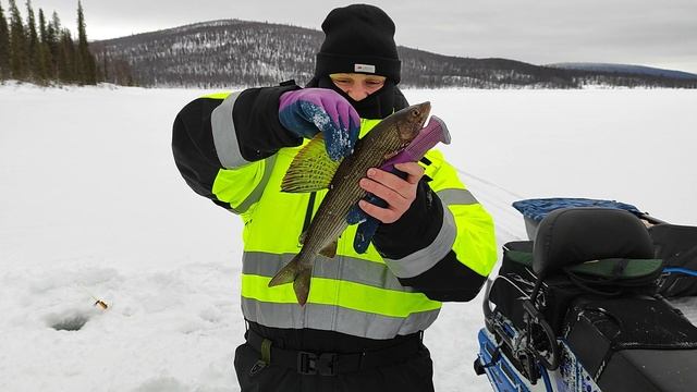 VID_20250221_141027