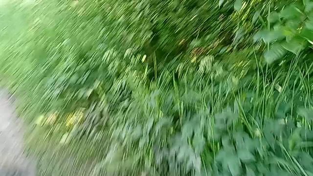 1000013979.mp4