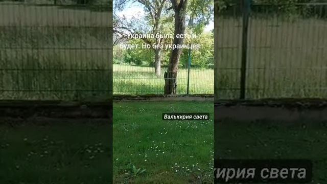 1750537023067.mp4