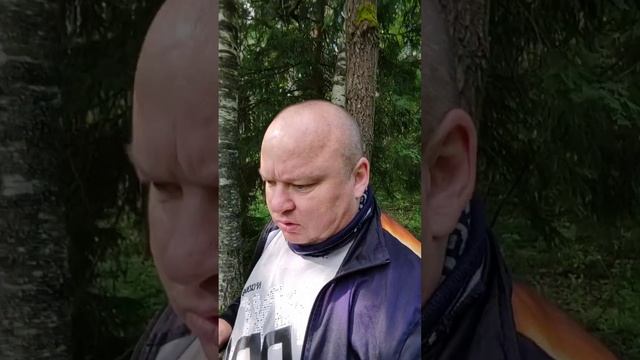 Приехали в лес, на наше место, посмотреть грибы 🍄