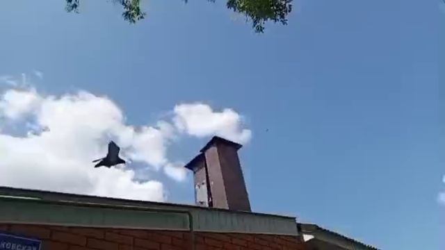 1000008986.mp4