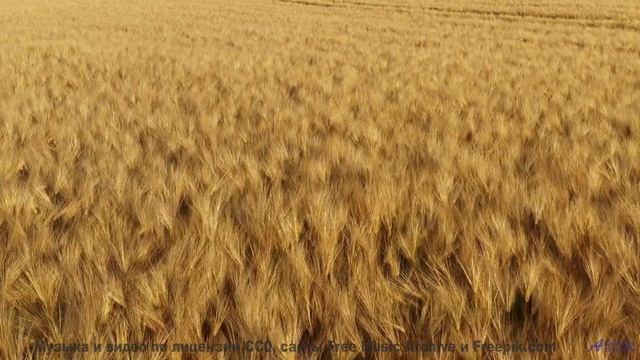 Кадры, которые восстановят ваше зрение - удивительно! - Neon -- SUPERARE -- VII
