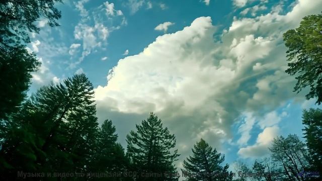 Эта дорога ведёт к месту, где рождаются чувства... - E-Musik -- Phillip Gross -- Quart