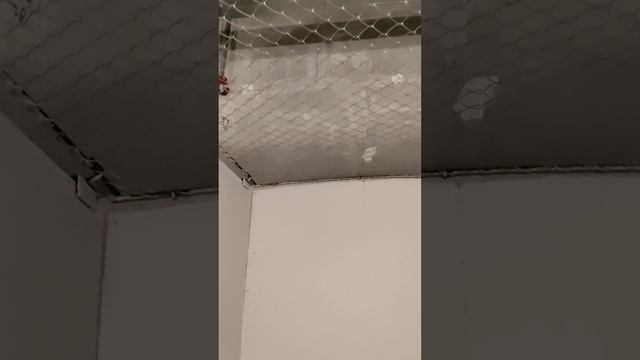VID_20250619_182644