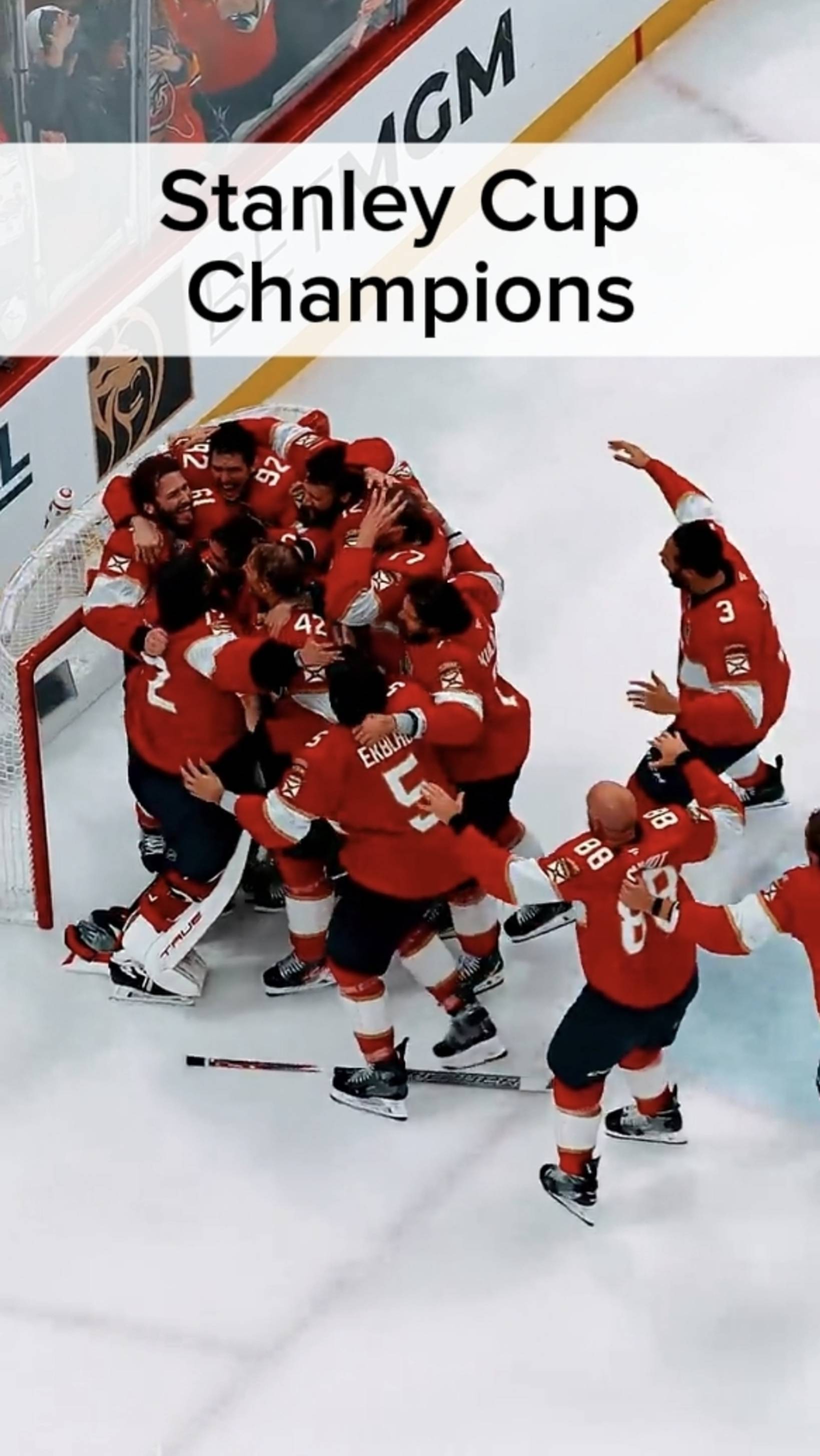 STANLEY CUP CHAMPIONS
#2025 #stanleycup #florida #bobrovsky #love #like #subscribe #team