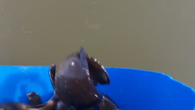 1000030965.mp4