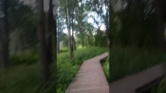 парк Каменка Новосибирск